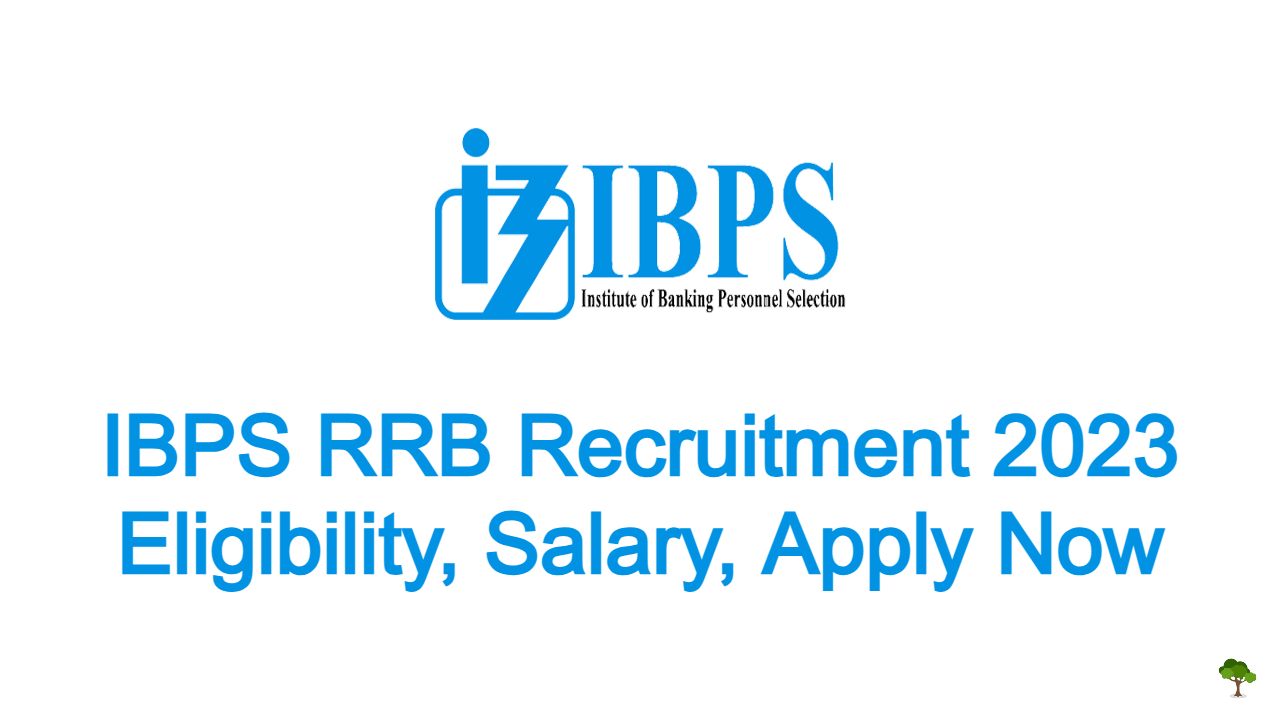 IBPS RRB Recruitment 2023 Eligibility, Salary, Apply Now